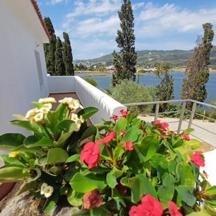 Skiathos Lagoterra Apartments Esterno foto